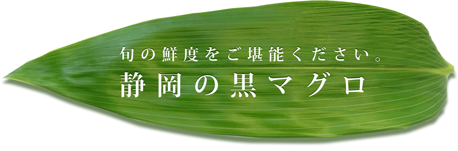 旬の鮮度をご堪能ください。2大産地の黒マグロ